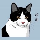 모
