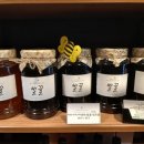 박사행정사 이미지