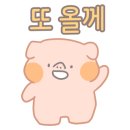 도스마스강대점 이미지