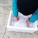 신용 흑염소농장 이미지