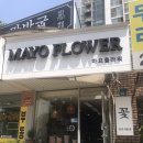 마요앤플라워