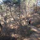 낙동강변10 이미지