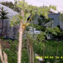 우리들 농장 이미지