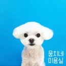 뭉치네 미용실 이미지