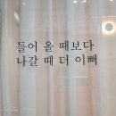 멍쌤 펫 살롱 이미지