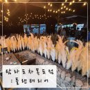 팜파스포차