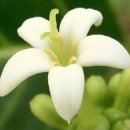 우리약업사 이미지