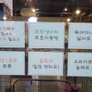 퍼피앤커피 이미지