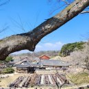 논산 가볼만한곳 여행코스 | 명재고택 노성향교 | 충남 갈만한곳
