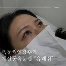 계양프라자(주부토로) | 인천 계양구 계산동속눈썹 연장후기 “유래쉬”