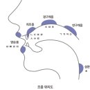 오아애오