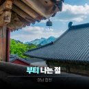 합천 해인사 부처님오신날 가볼만한 곳 팔만대장경 후기