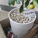 초록나라식물원 이미지