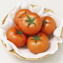 토마토 이미지