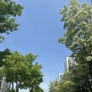 신명오헤어벨리미용실 | (2024-4) 4