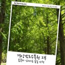 진주여행] 봄꽃 사진과 싱그러운 봄숲 탐방기 [경상남도수목원 2부]