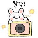 에프티알컴퍼니