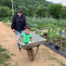 일농장 이미지