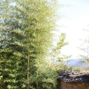 덕천민속마을 이미지