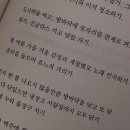 5월초 아무렇게나 일상: 미샤 발레슈즈•재페니메이션OST 콘서트 오쿠 하나코 라이브!•서울시립미술관...