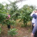 대추골농장 이미지