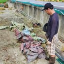 태두농장 이미지