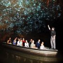 뉴질랜드의 반딧불이 동굴 이미지