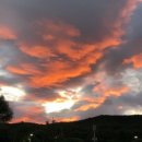 시루봉2농장 이미지