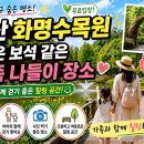 보석광고 | [광고] 부산 화명수목원 숨은보석 같은 가족 나들이 장소 (아이와 방문 후기)