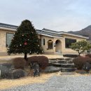 카페유나 | 반려동물 동반 가능한🐶🐾| 한적하고 고요한 분위기 카페 추천🥨| 충주 “유나의 정원” | 내돈내산 후기👍🏻