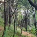 샬롬치과의원 이미지