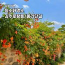 김해축산업협동조합 | 경남 김해 능소화 명소 가볼만한곳 김수로 왕릉과 봉리단길 후기
