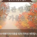 카마린 이미지