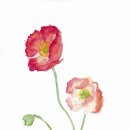 피부를 말하다 이미지