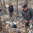 제암산자연휴양림 이미지