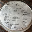 부�상회 | [신설동 맛집] 부오상회 — 깔끔한 부오어무니한상과 바삭한 오징어튀김 후기