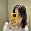 중단발 톤다운 염색은 &lt;준오헤어 강서홈플러스점&gt; 재방문율1위 염색대통령 이연실장님께!!(톤다운염색후기)
