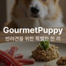 고메이 퍼피 이미지