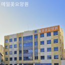 신생요양원 | 김포요양원 메밀꽃요양원 프로그램·돌봄서비스 실제 이용후기