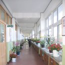 금성여자상업고 이미지