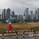 강남-231 이미지