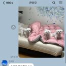 호텔류 이미지