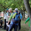 대정읍 영어교육도시내 곶자왈 이미지