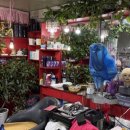 영아미용실 이미지