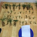 장교농장 이미지