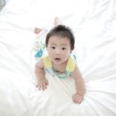 황금어장PC 이미지