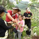 꽃피는 산골 이미지