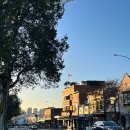 시드니 한달살기 숙소1) 시티 CBD 근처 울라라 Woollahra 에어비앤비 후기 - 4명 숙소