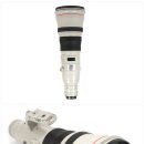 캐논 EF 800mm f5.6L IS USM (2057) 이미지