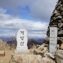 두메농산 이미지
